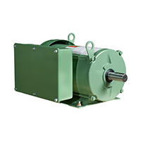 IronHorse Farm Duty, Cast Iron, 1-Phase Motors